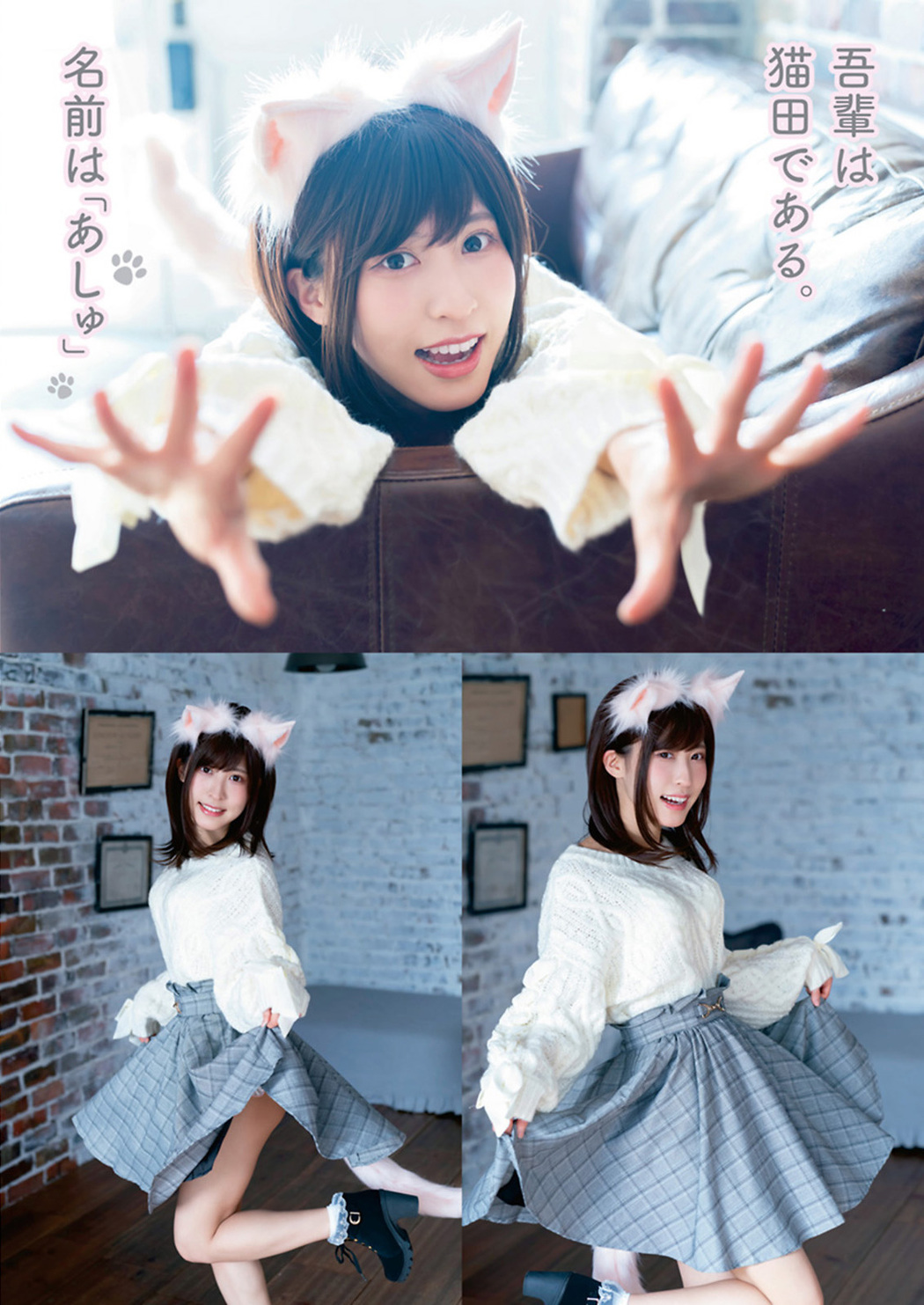 Ashu Nekota 猫田あしゅ, Young Animal 2021 No.05 (ヤングアニマル 2021年5号)