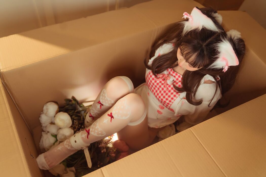 Coser@晕崽Zz – 箱娘