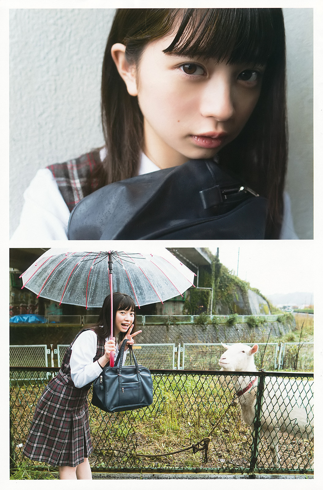 Hiyori Sakurada 桜田ひより, Young Gangan 2017 No.24 (ヤングガンガン 2017年24号)