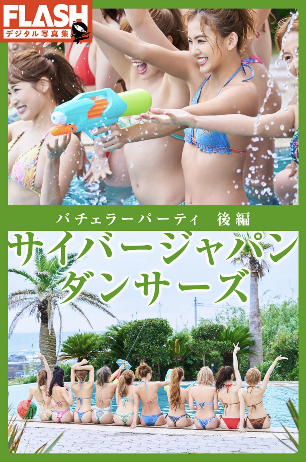 サイバージャパン, FLASH フラッシュ サンプル版 ダンサーズ バチェラーパーティ 後編 Cover Photo