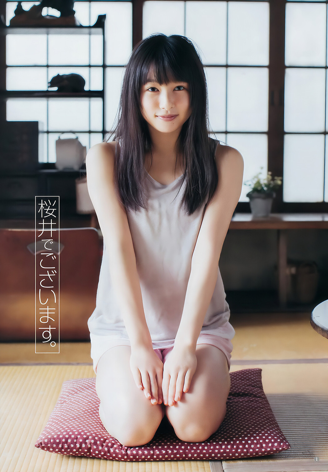 桜井日奈子 石塚汐花, Young Jump 2017 No.02 (ヤングジャンプ 2017年02号)
