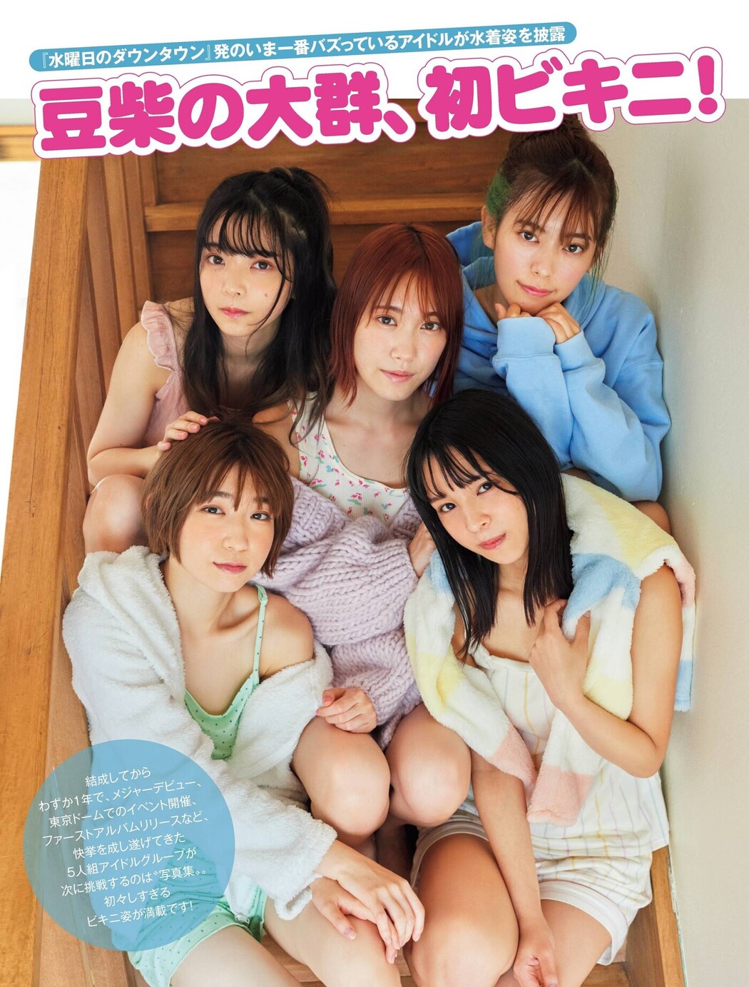 Mameshiba no Taigun 豆柴の大群, FRIDAY 2020.12.11 (フライデー 2020年12月11日号) Cover Photo