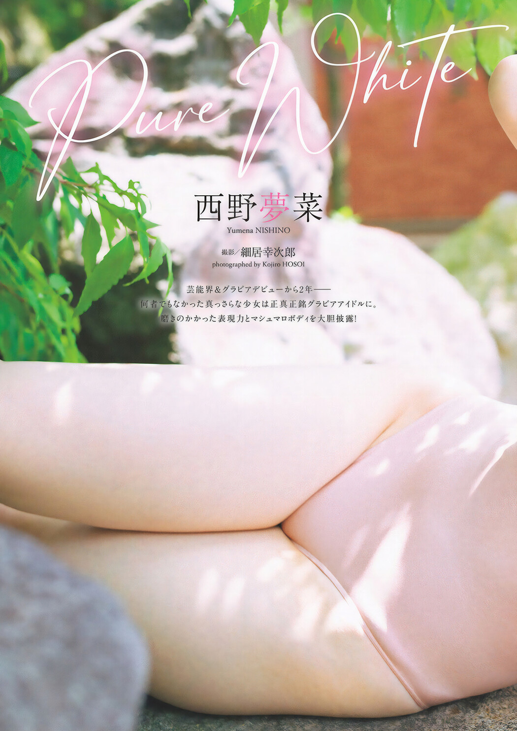 Yumena Nishino 西野夢菜, Weekly Playboy 2024 No.49 (週刊プレイボーイ 2024年49号 Cover Photo