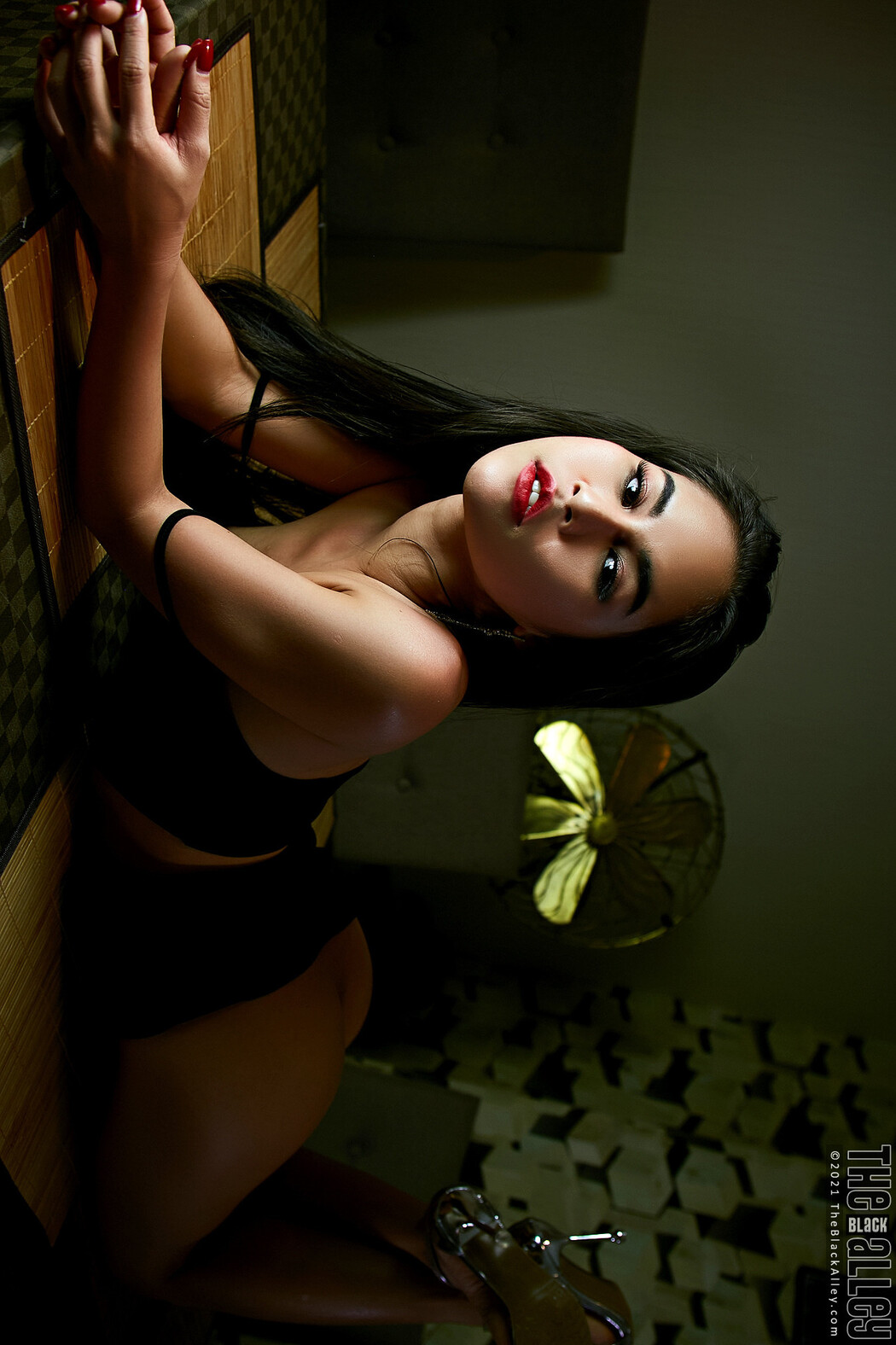 Lemon The Black Alley Photobook Set.22