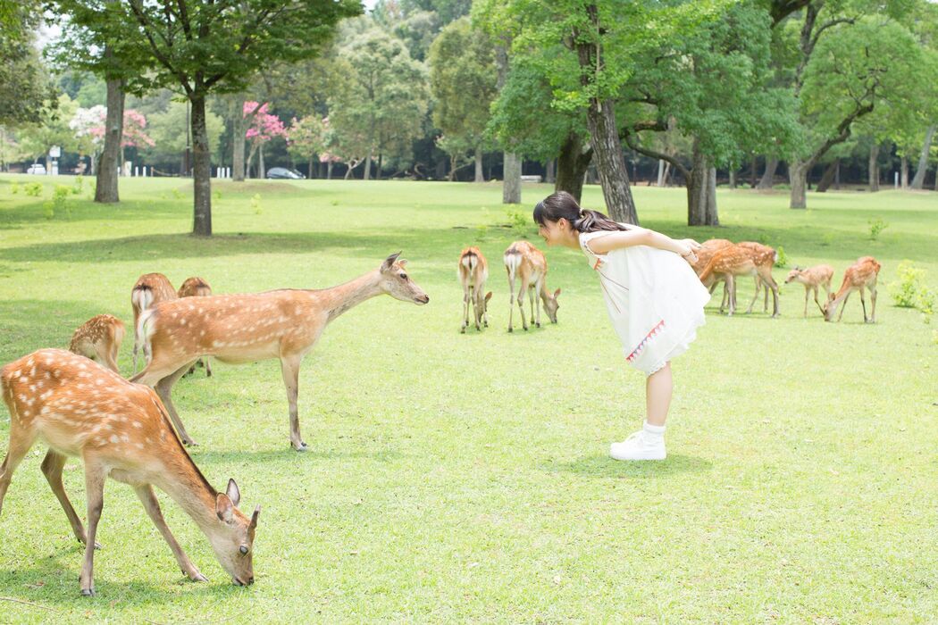 Riho Sayashi Riho Sayashi [Hello! Project Digital Books] Vol.120