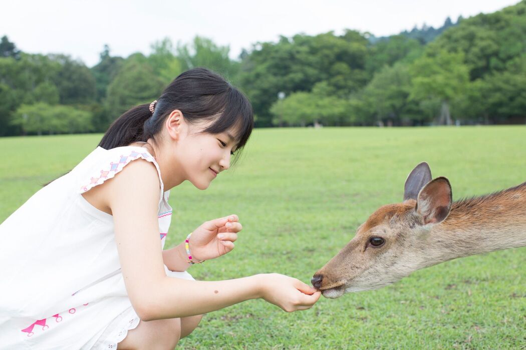 Riho Sayashi Riho Sayashi [Hello! Project Digital Books] Vol.120