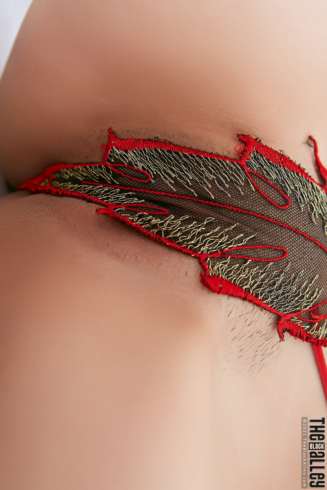 Ellie The Black Alley Photobook Set.44