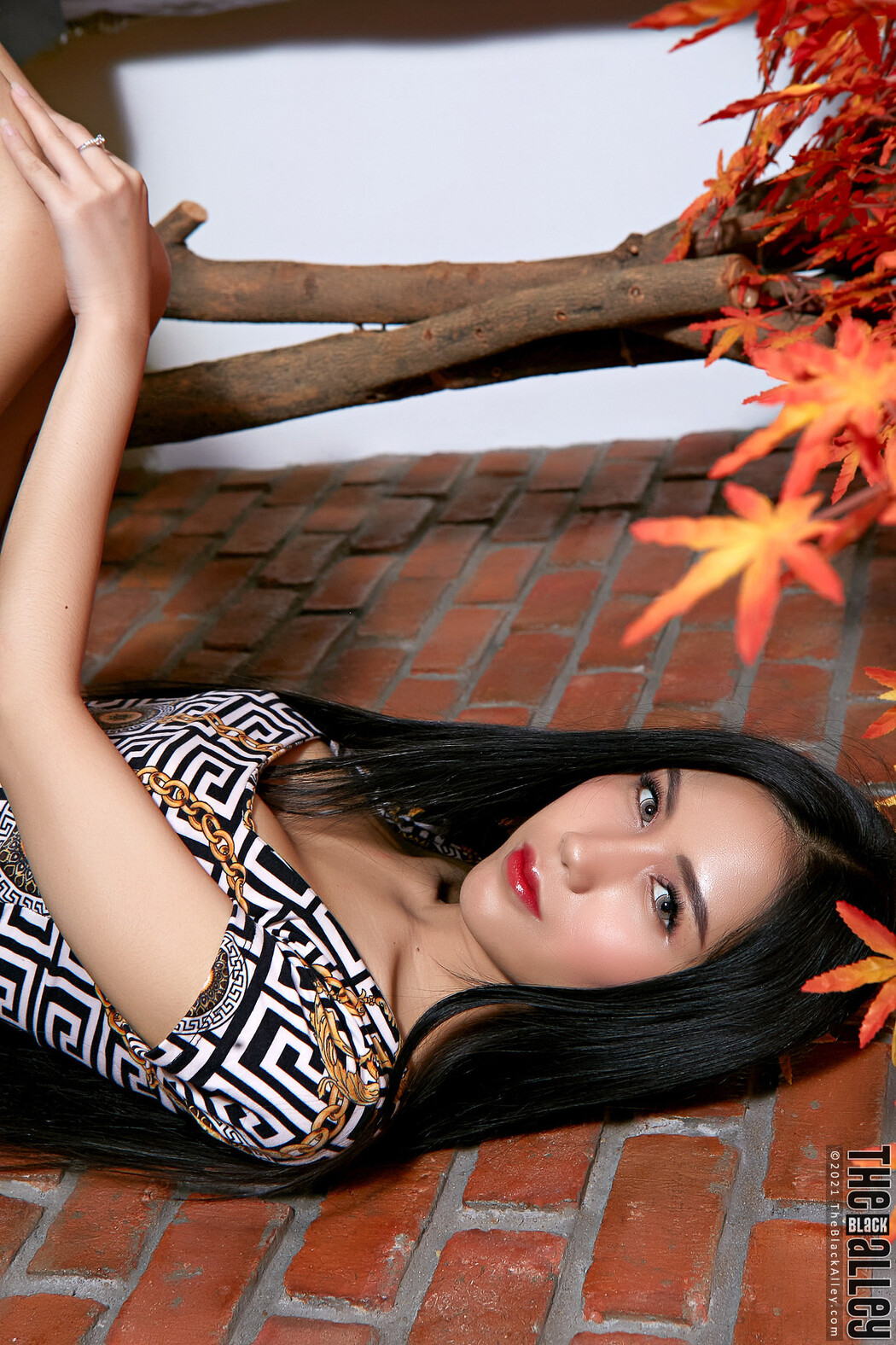 Evelynne The Black Alley Photobook Set.03