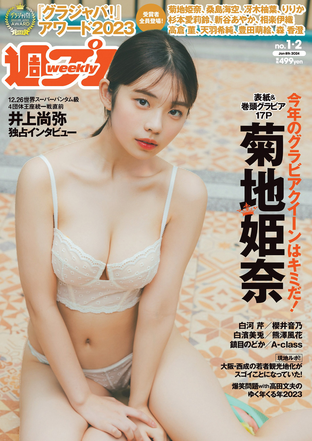 Hina Kikuchi 菊地姫奈, Weekly Playboy 2025 No.01-02 (週刊プレイボーイ 2025年1-2号) Cover Photo