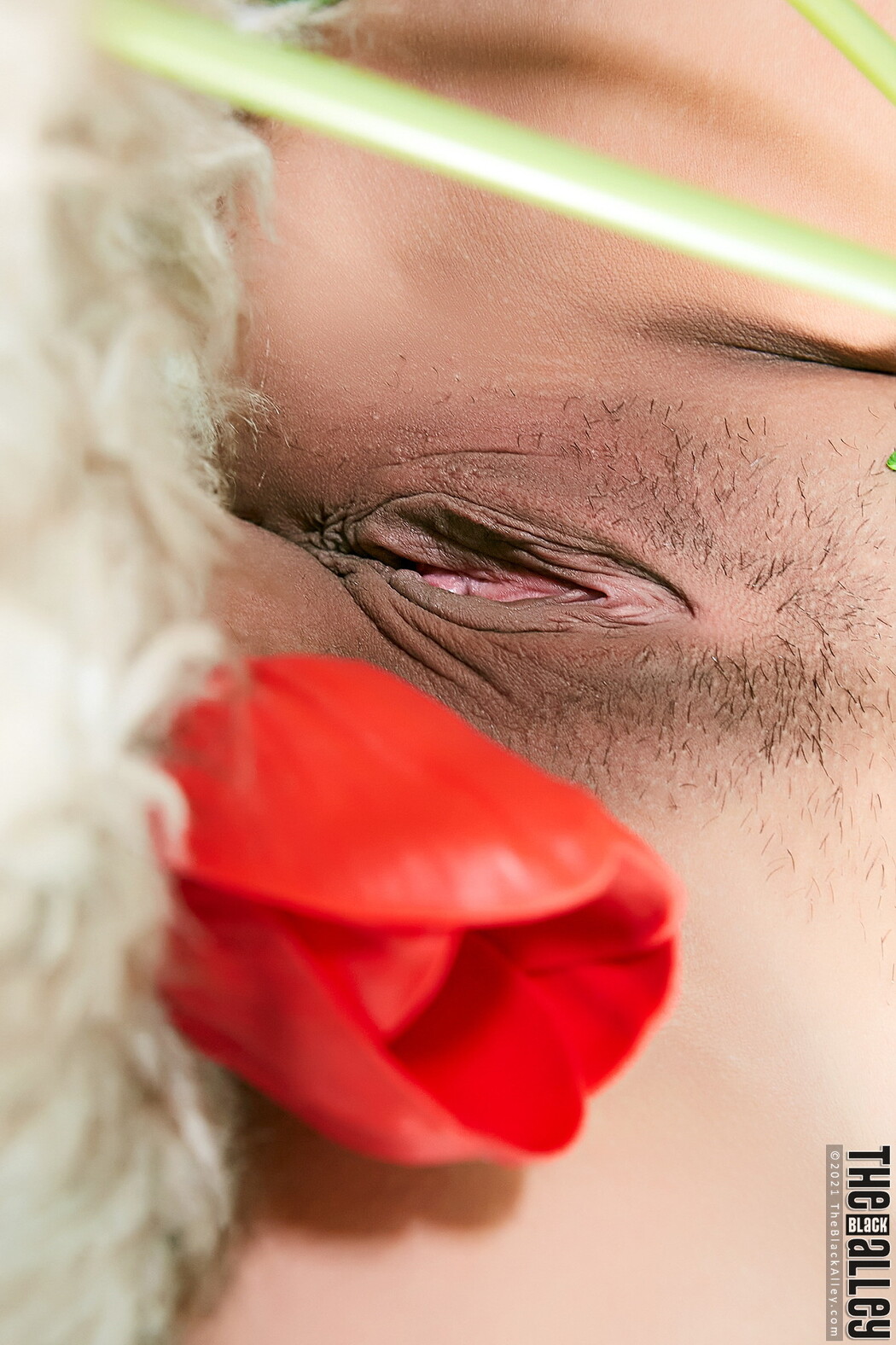 Bouquet The Black Alley Photobook Set.03