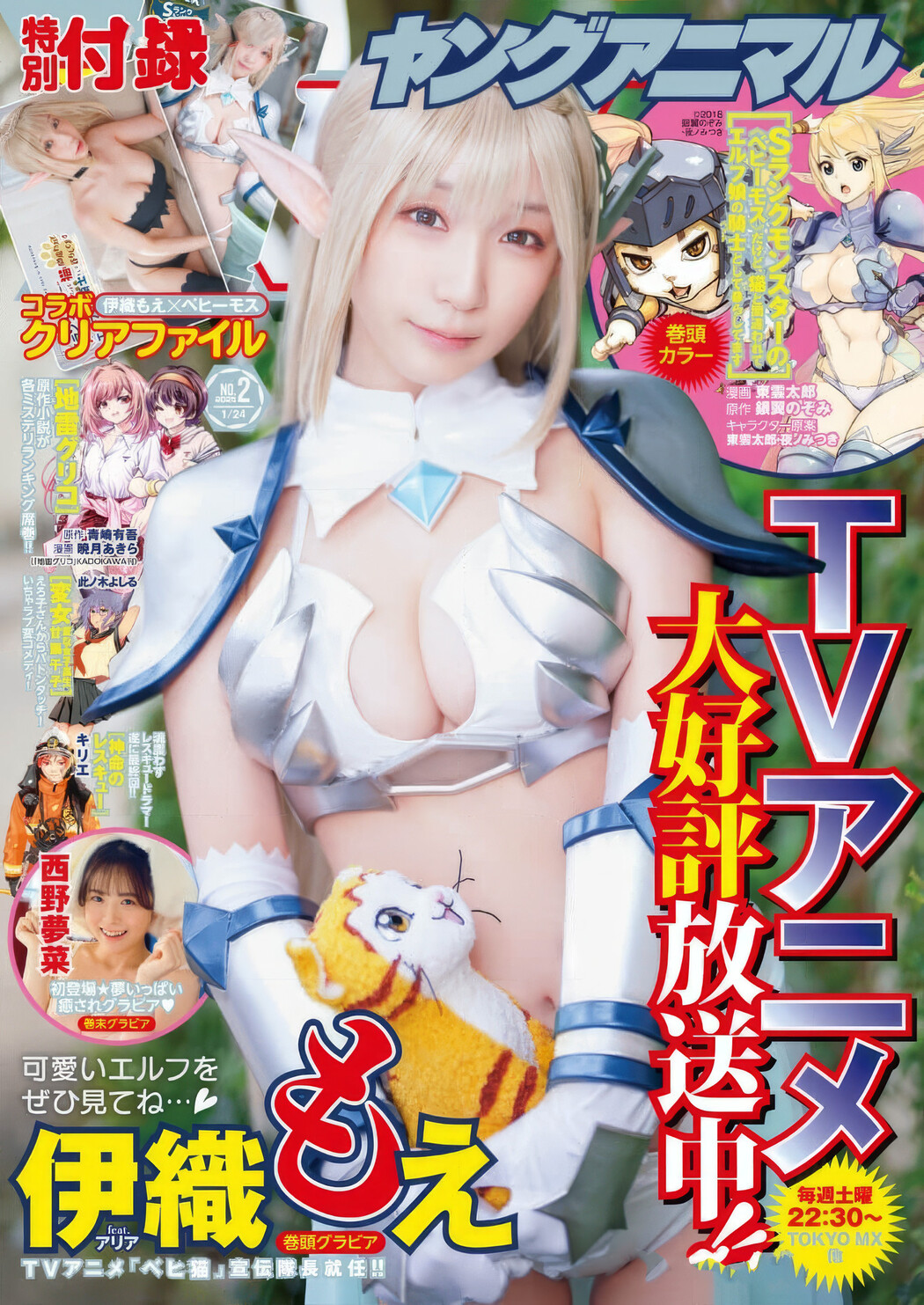 Moe Iori 伊織もえ, Young Animal 2025 No.02 (ヤングアニマル 2025年2号) Cover Photo