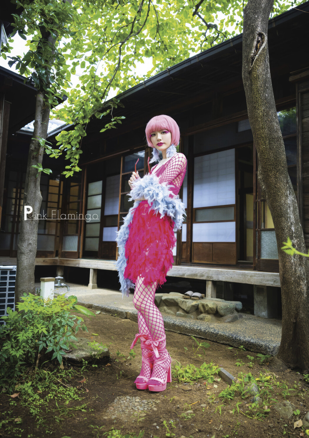 Rena Miyashita 宮下玲奈, 写真集 Cosplay Fetish Book Set.02 Cover Photo