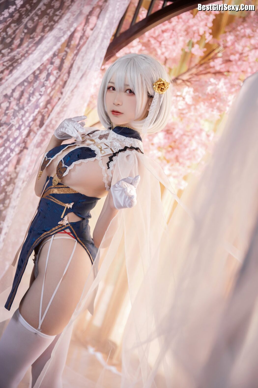 Coser@樱落酱w – 旗袍天狼星