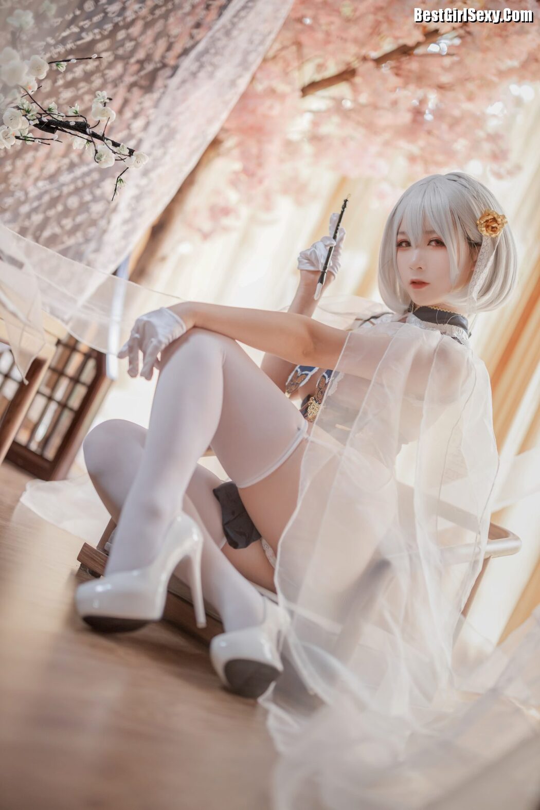 Coser@樱落酱w – 旗袍天狼星