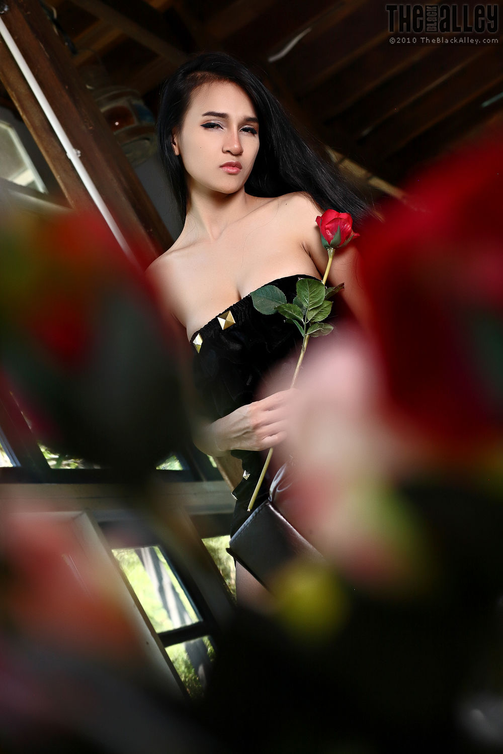 [The Black Alley] Ginny Set.12 2017.12.05