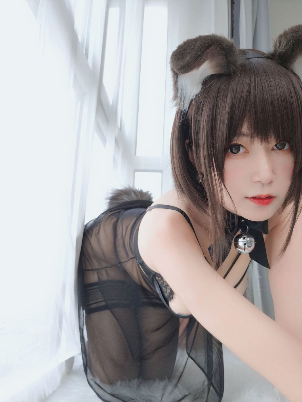 [COS Welfare] Miss Coser Baiyin - Folded Dog