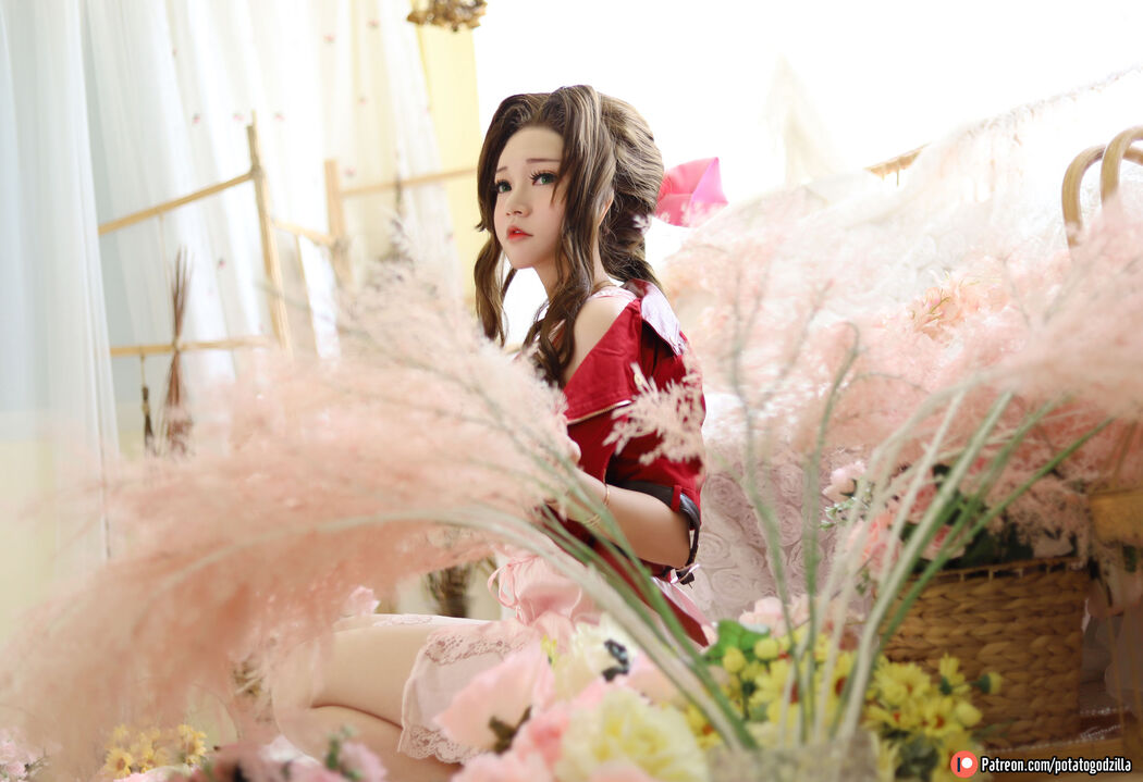 [COS Welfare] Miss Coser Potato Godzilla - Aeris