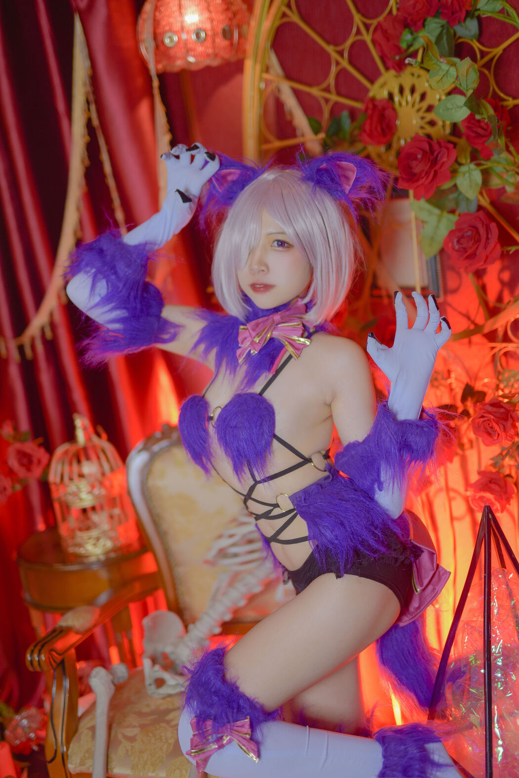 Coser Erzo Nisa "Fate Matthew Halloween"