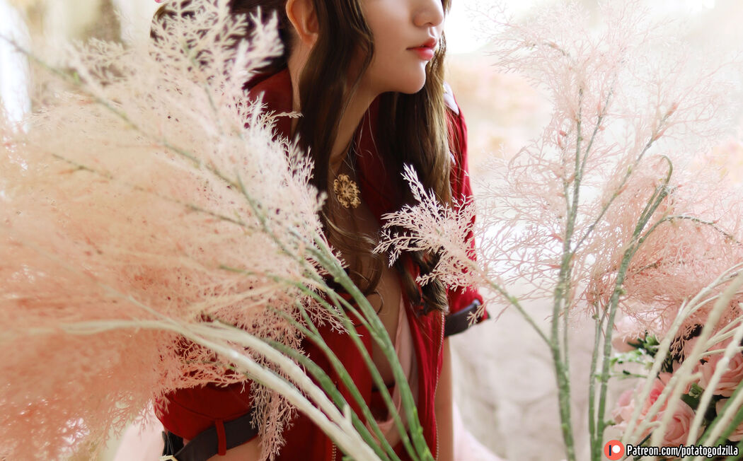 [COS Welfare] Miss Coser Potato Godzilla - Aeris