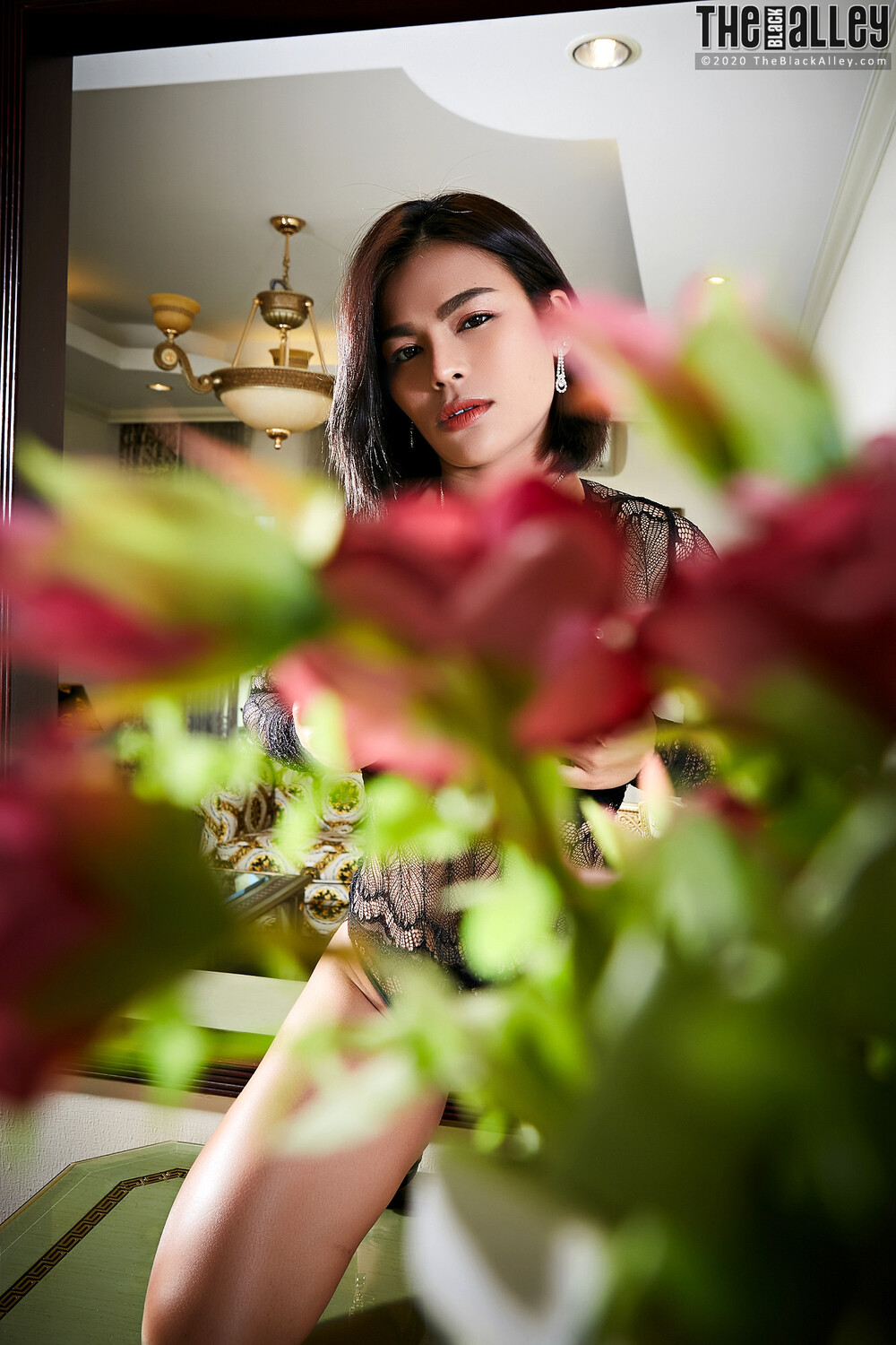 [The Black Alley] Pimpa Photo Set.01 (2020.11.09)