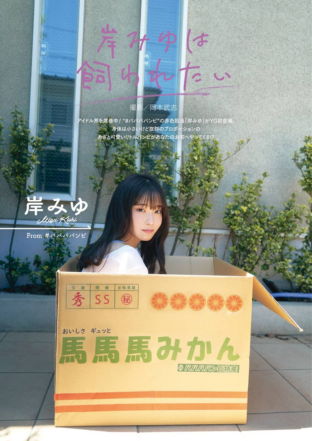 Miyu Kishi 岸みゆ, Young Gangan 2021 No.20 (ヤングガンガン 2021年20号) Cover Photo