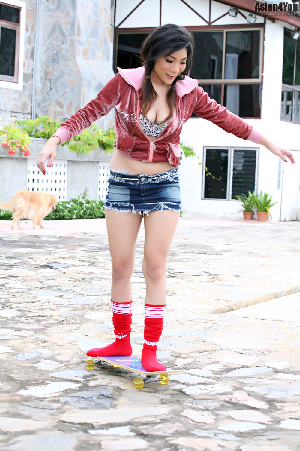 [The Black Alley] Dana Photo Vip Zone Set.04