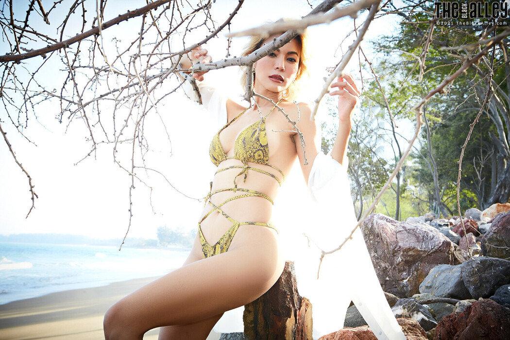 [The Black Alley] Pricilla Photo Set.40 (2020.12.26)