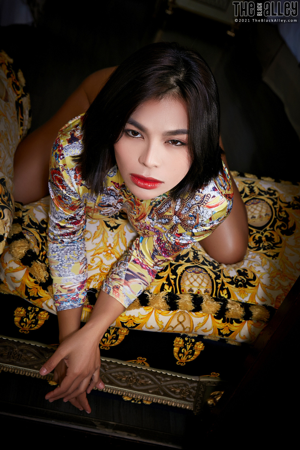 [The Black Alley] Pimpa Photo Set.10 (2021.01.04)