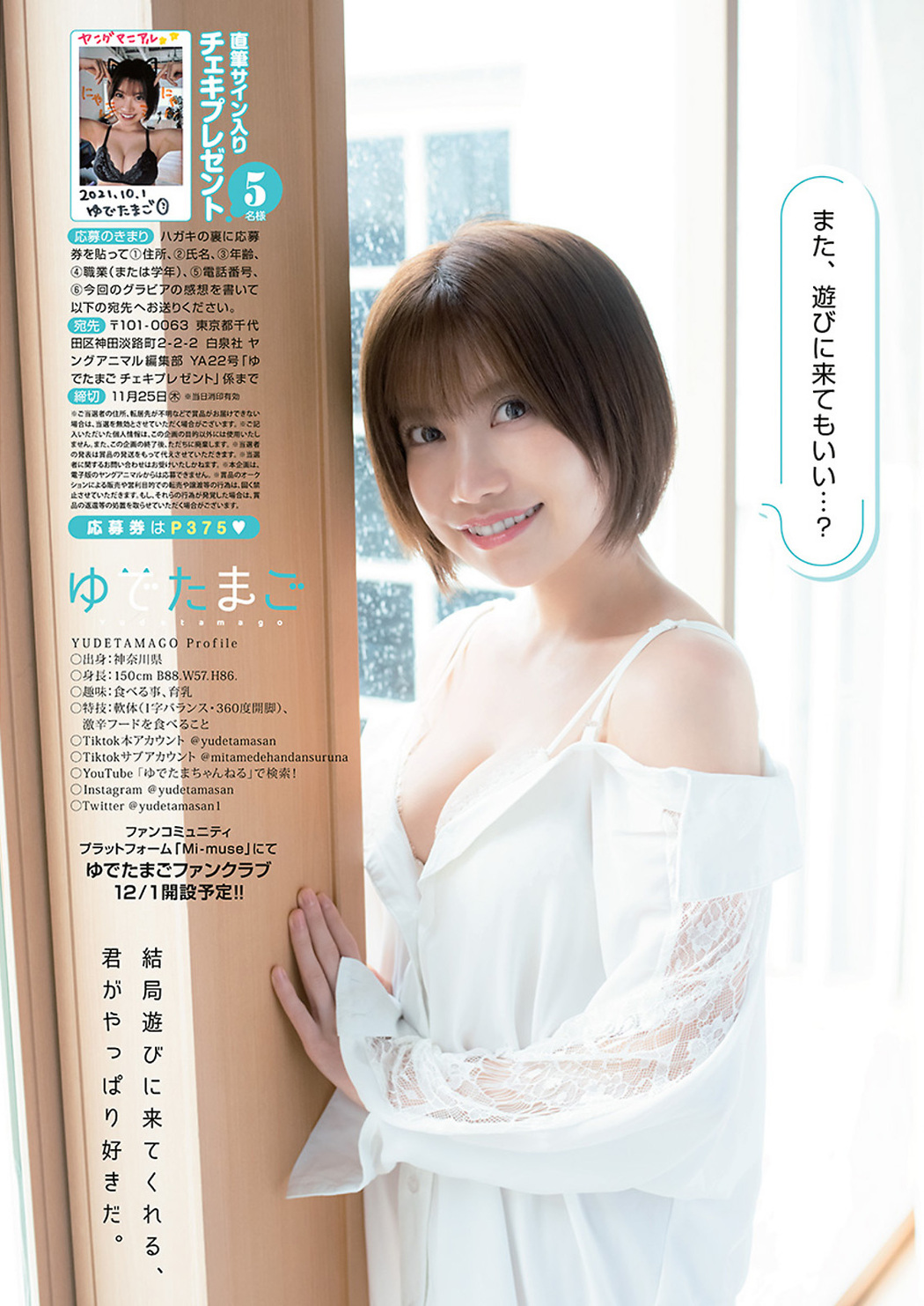 Yudetamago ゆでたまご, Young Animal 2021 No.22 (ヤングアニマル 2021年22号)