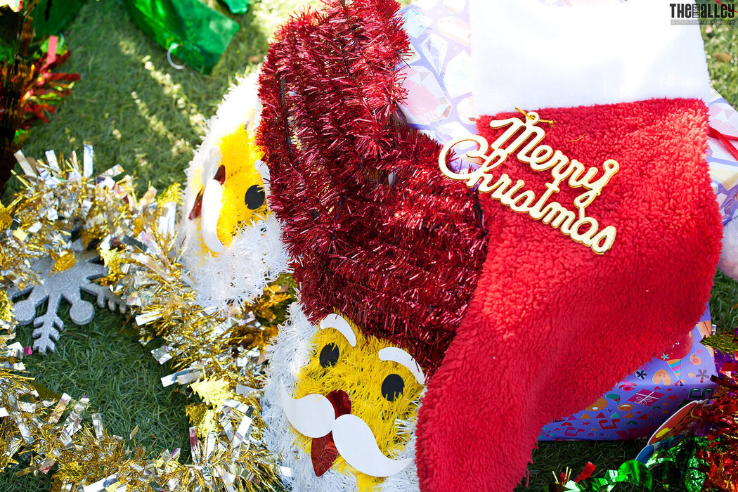 [The Black Alley] Natalie Wang Photo Set.60 Cover Photo