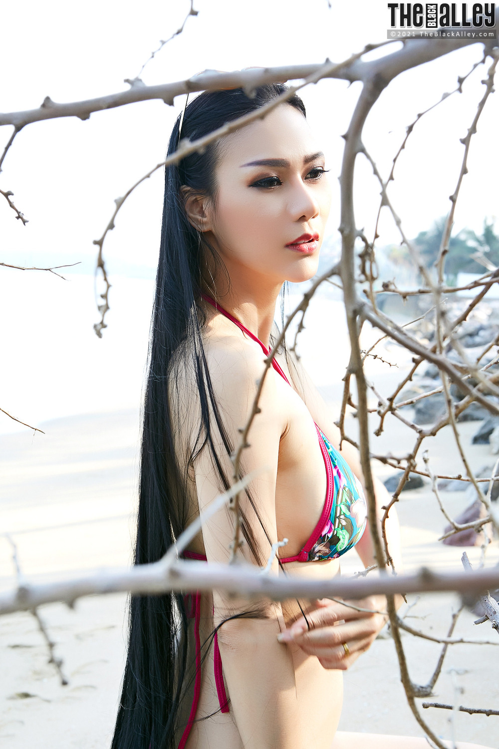 [The Black Alley] Dahlia Photo Set.17 (2021.12.31)