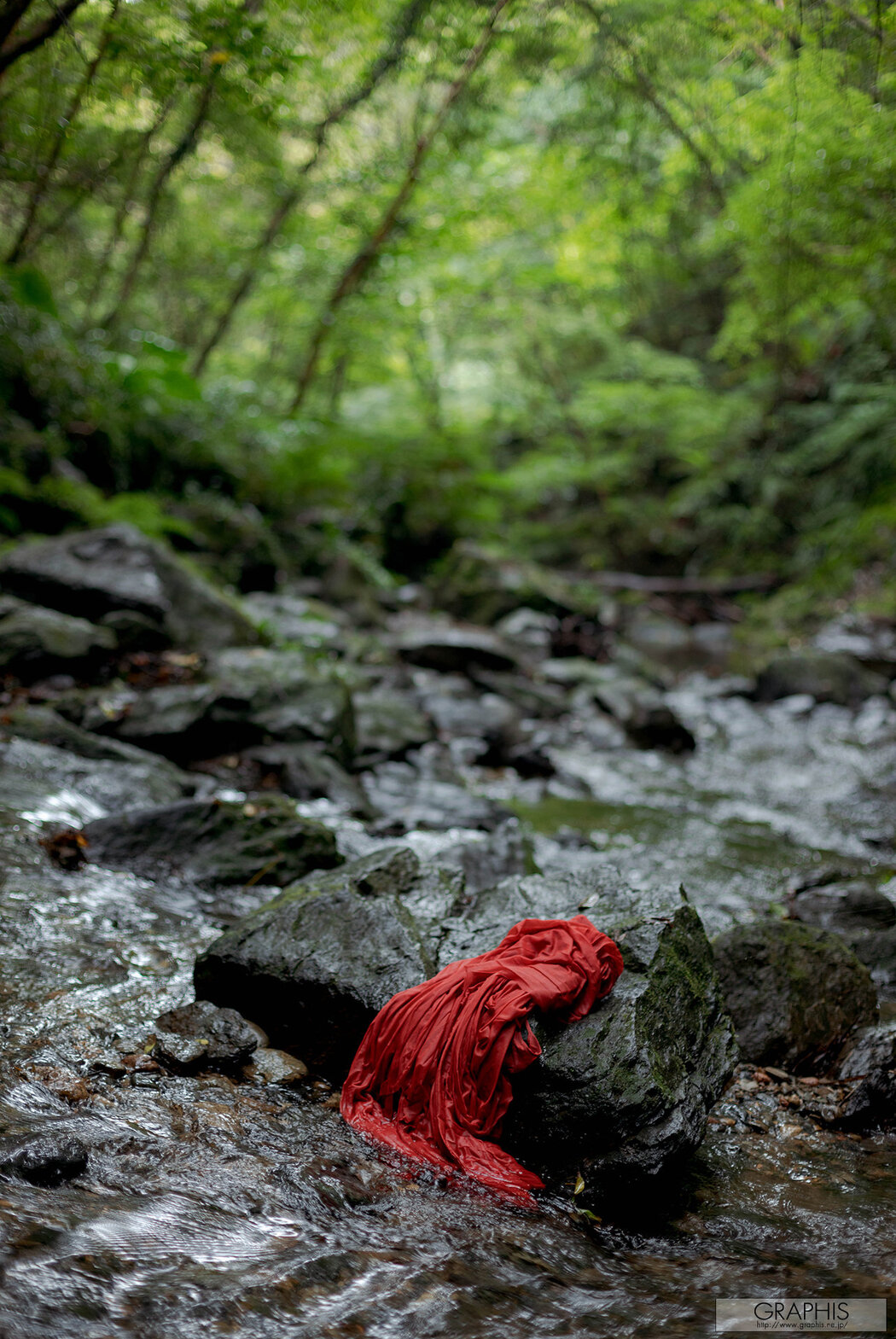 Akari Mitani 美谷朱里, [Graphis] Gals “Ravish” Vol.05 Cover Photo