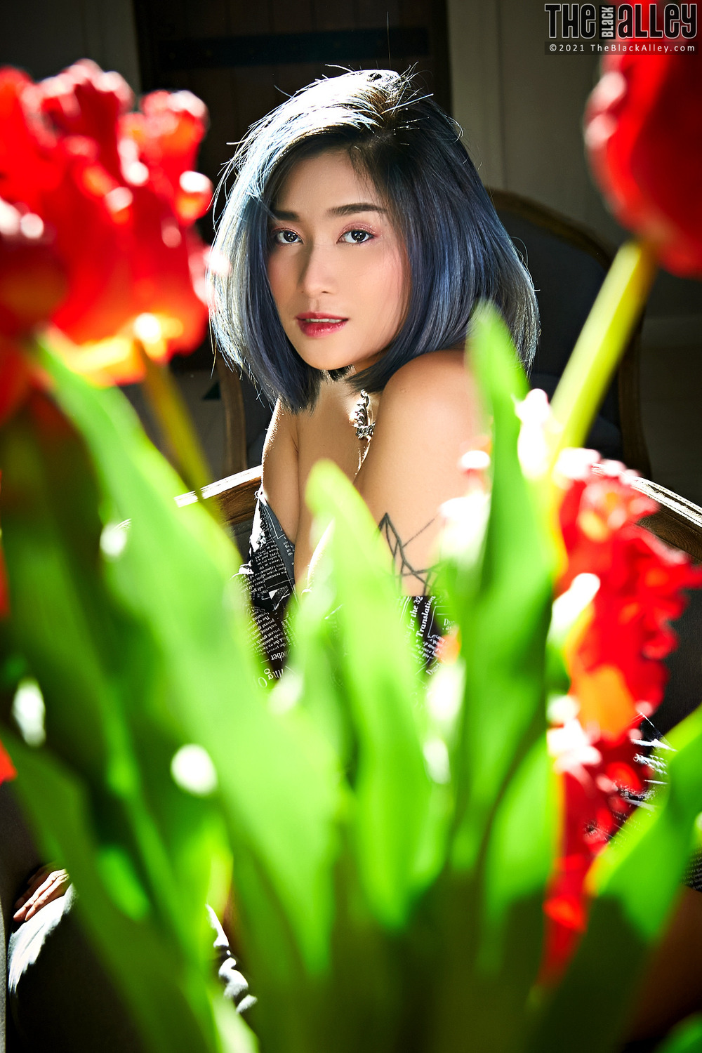 [The Black Alley] Apple Photo Set.138 (2021.06.29)