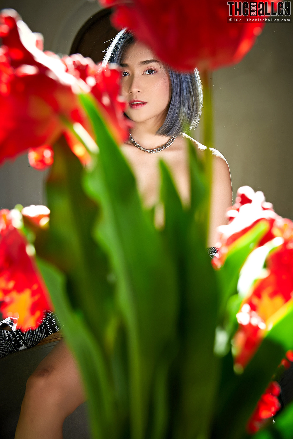 [The Black Alley] Apple Photo Set.138 (2021.06.29)