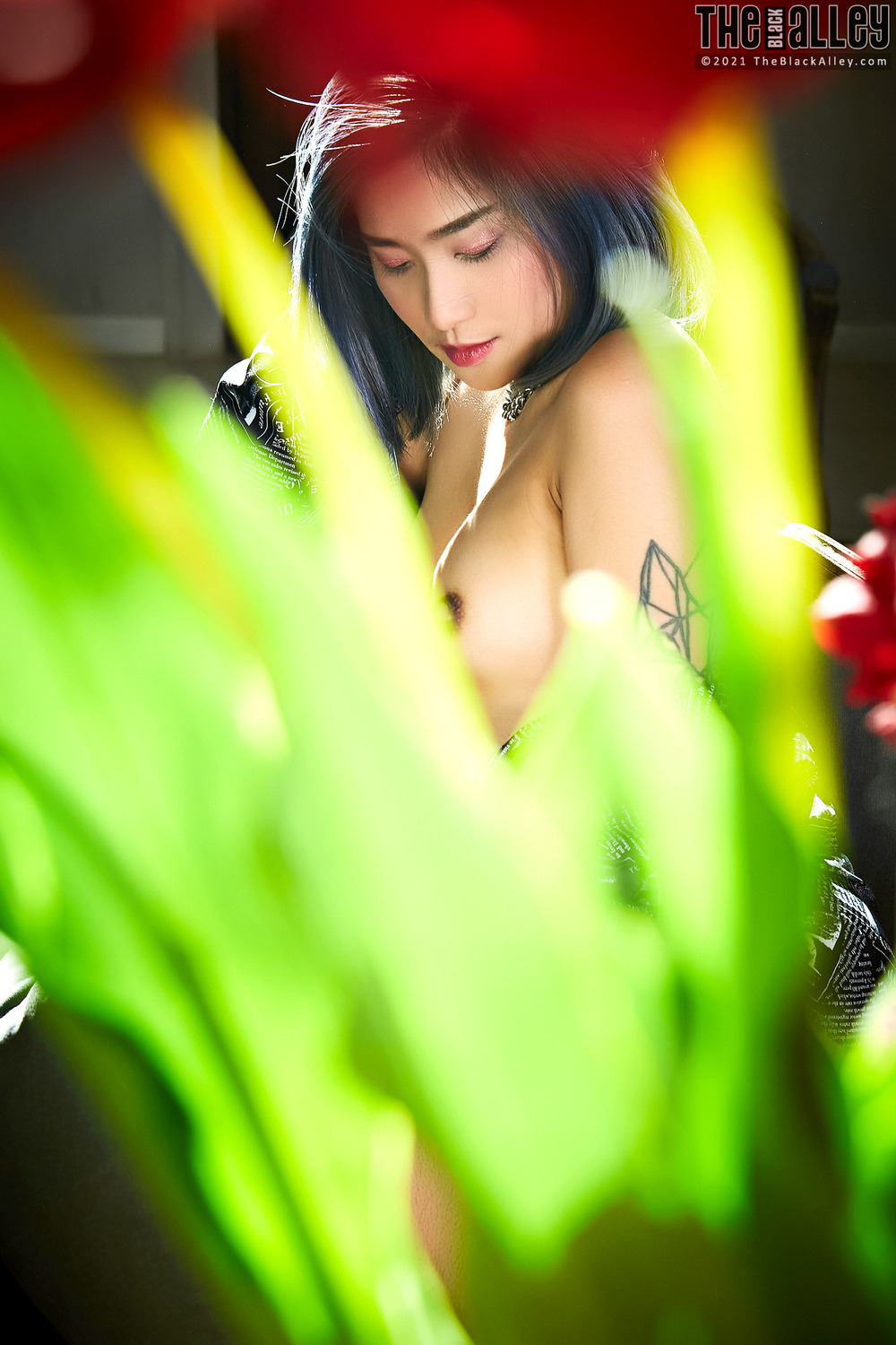 [The Black Alley] Apple Photo Set.138 (2021.06.29)