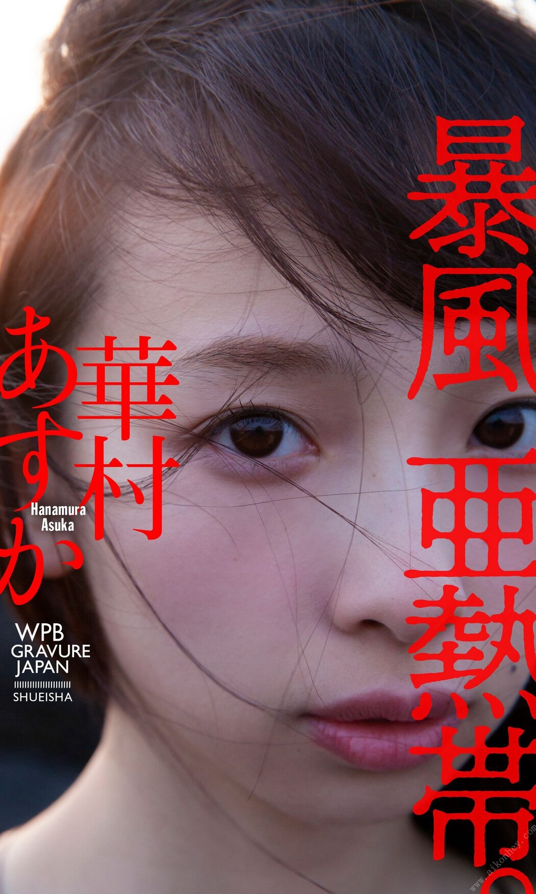 Asuka Hanamura 華村あすか, 週プレ Photo Book 暴風亜熱帯 Set.01 Cover Photo