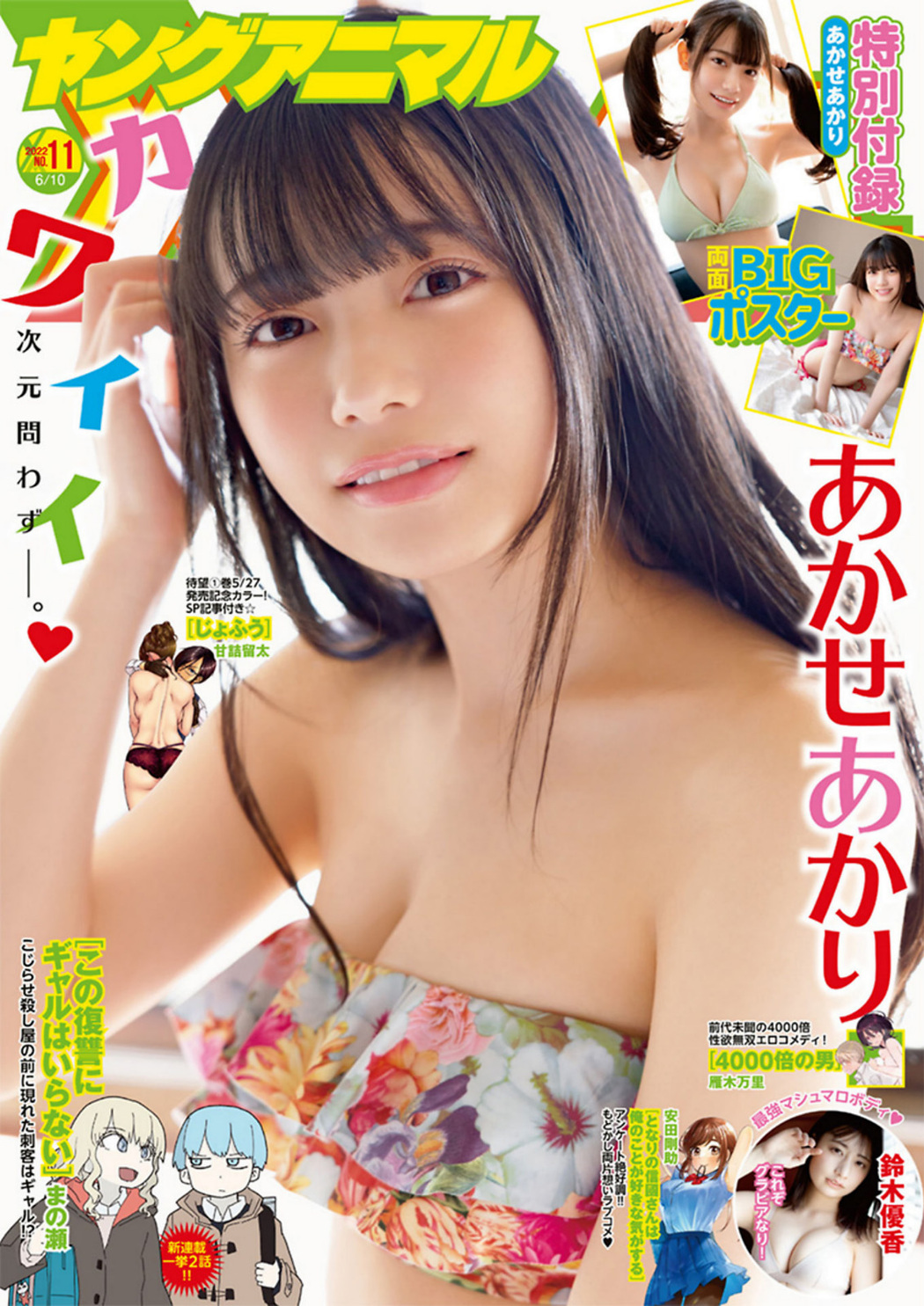 Akari Akase あかせあかり, Young Animal 2022 No.11 (ヤングアニマル 2022年11号) Cover Photo