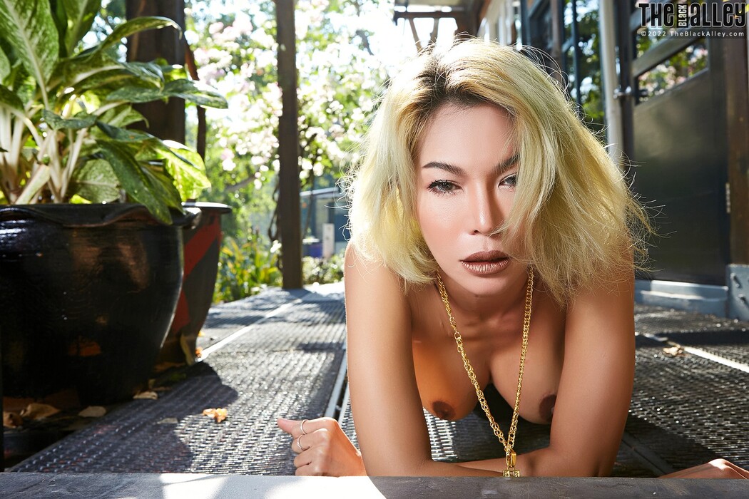 [The Black Alley] Pricilla Photo Set.51 (2021.01.03)