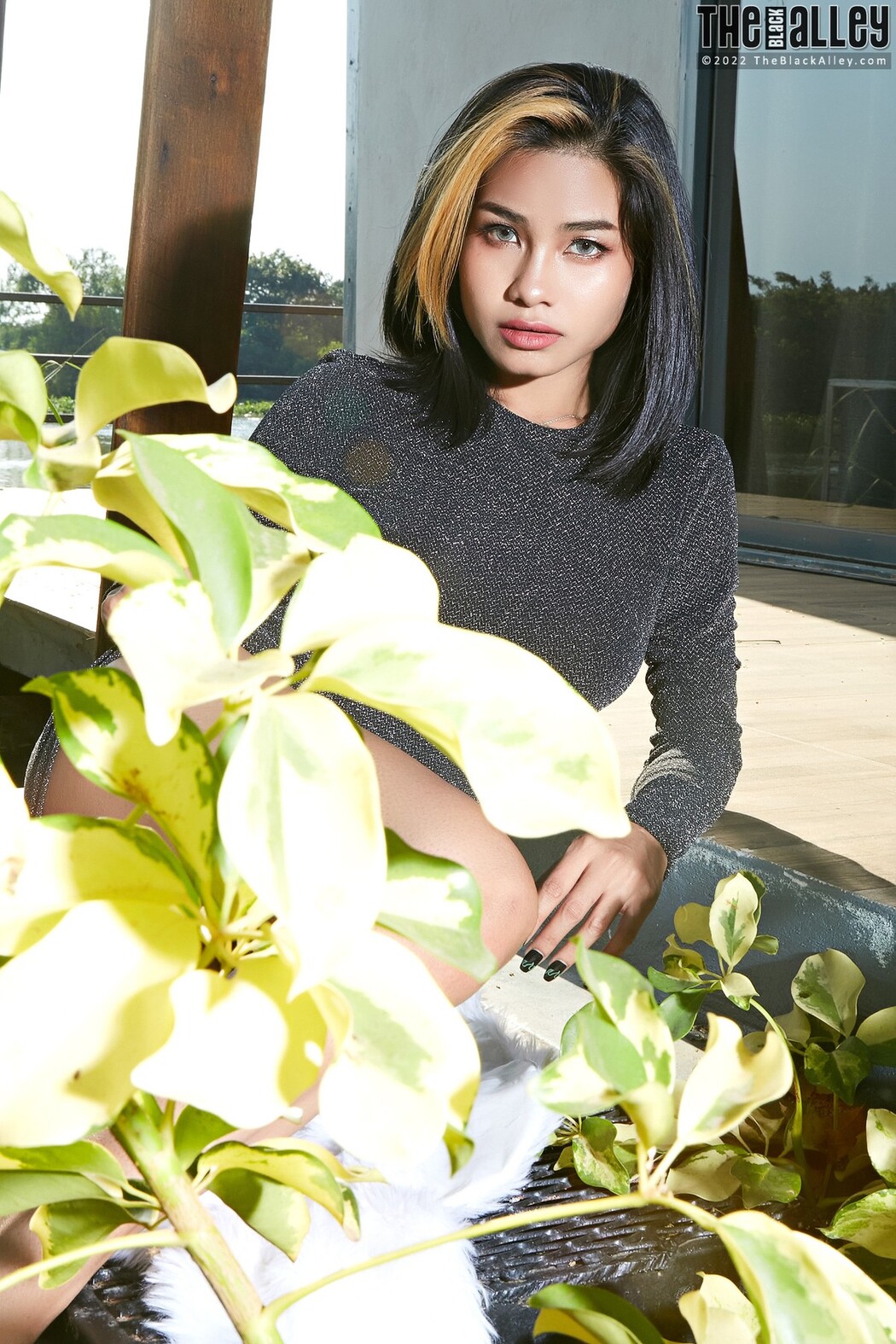 [The Black Alley] Brenda Photo Set.10 (2022.02.16)