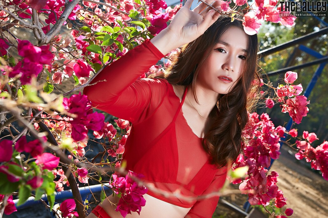 [The Black Alley] Chia Ling Photo Set.64 (2022.01.31)