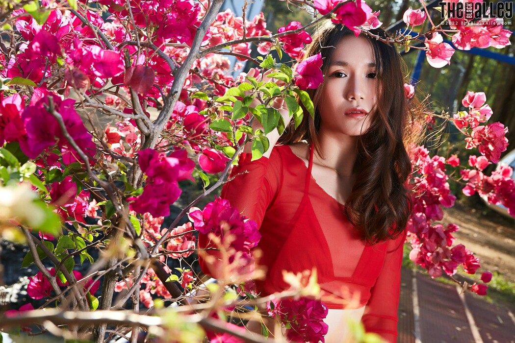 [The Black Alley] Chia Ling Photo Set.64 (2022.01.31)