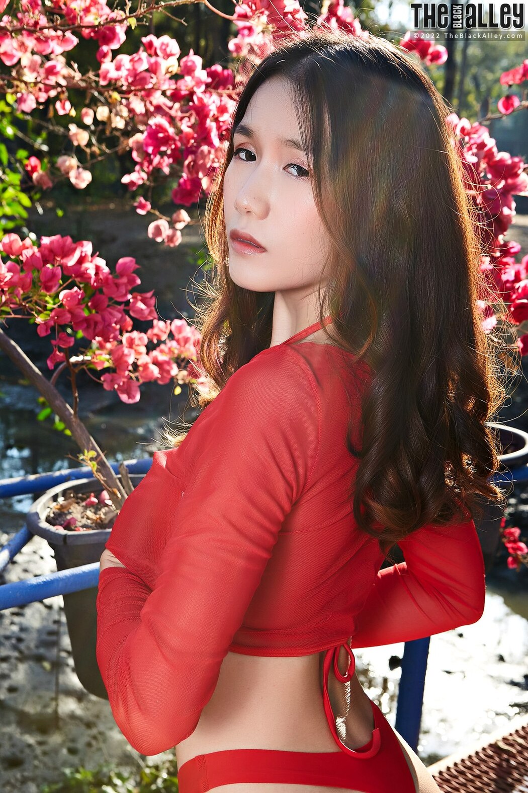 [The Black Alley] Chia Ling Photo Set.64 (2022.01.31)