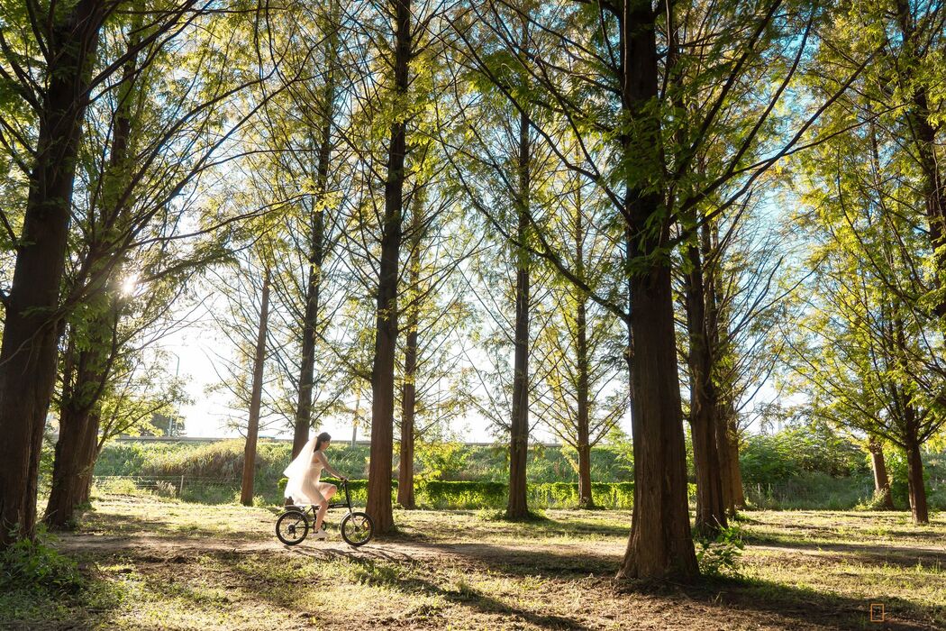 Sehee 세희, [Korean Realgraphic] No.34 디지털화보