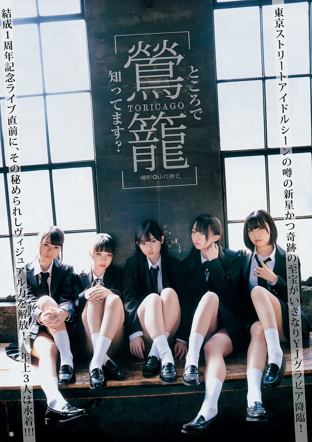 TORICAGO 鶯籠, Young Jump 2019 No.13 (ヤングジャンプ 2019年13号) Cover Photo