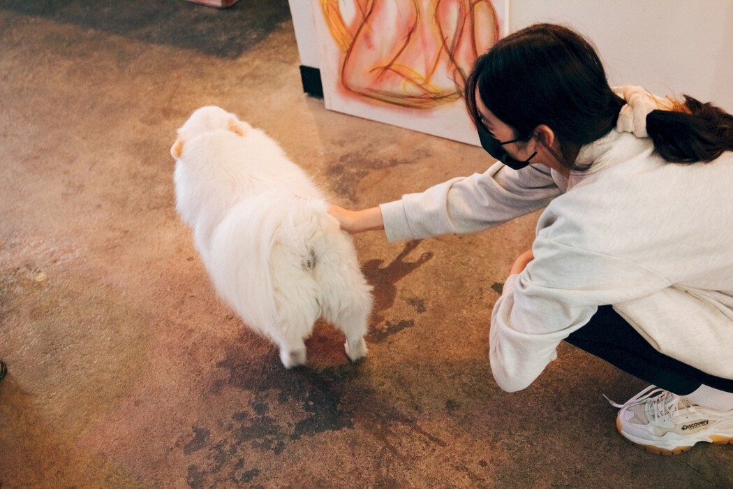 Sonson 손손, [Loozy] Yano Date Set.01 Cover Photo