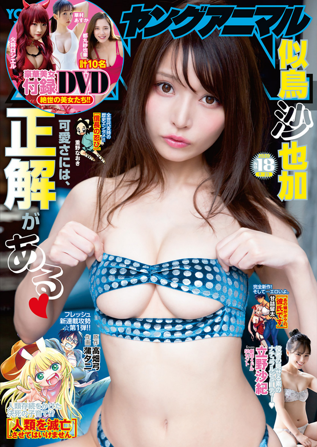 Sayaka Nitori 似鳥沙也加, Young Animal 2022 No.18 (ヤングアニマル 2022年18号) Cover Photo