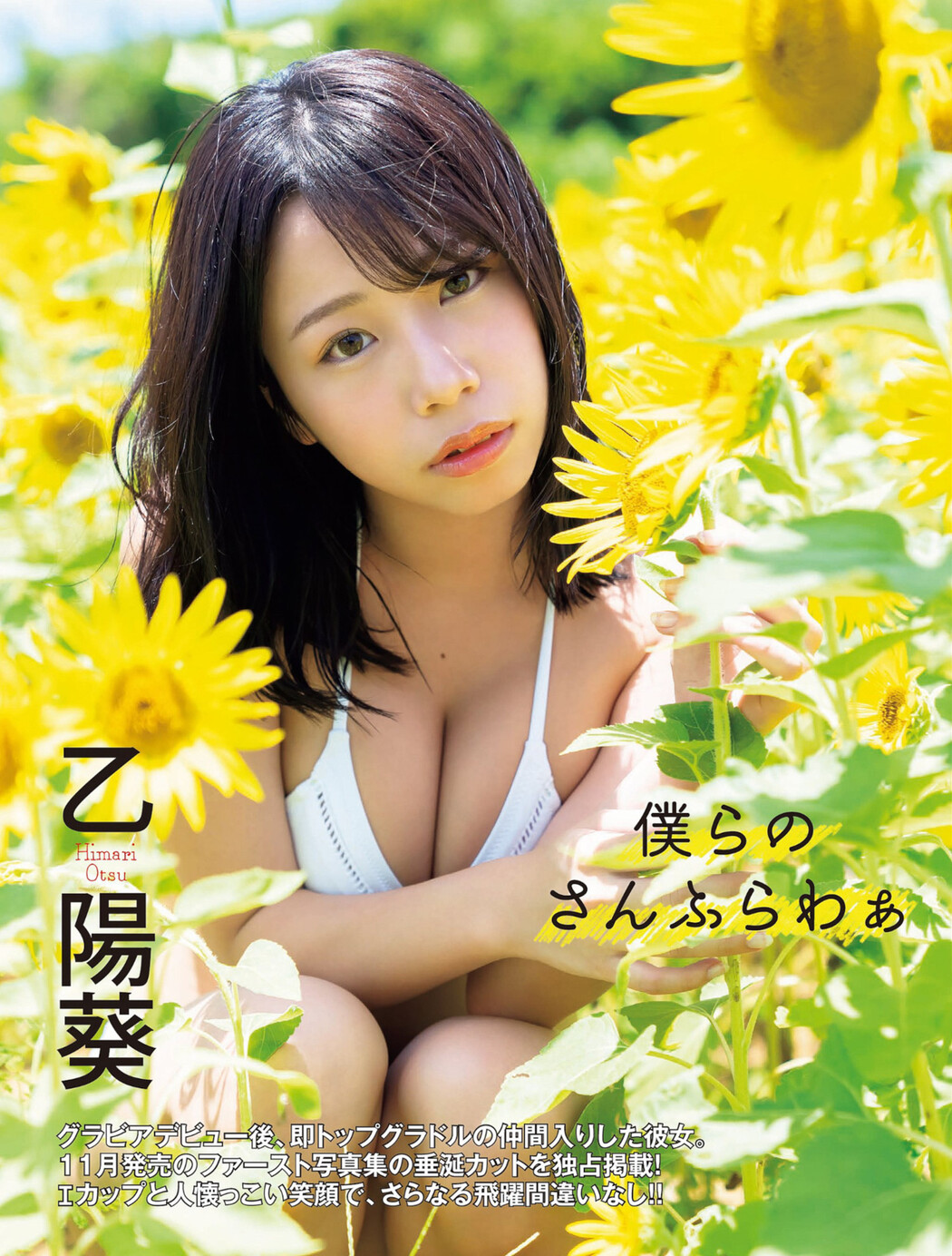 Himari Otsu 乙陽葵, FLASH 2022.11.08 (フラッシュ 2022年11月8日号) Cover Photo