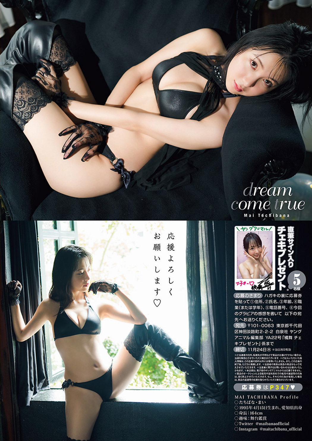 Mai Tachibana 橘舞, Young Animal 2022 No.22 (ヤングアニマル 2022年22号)