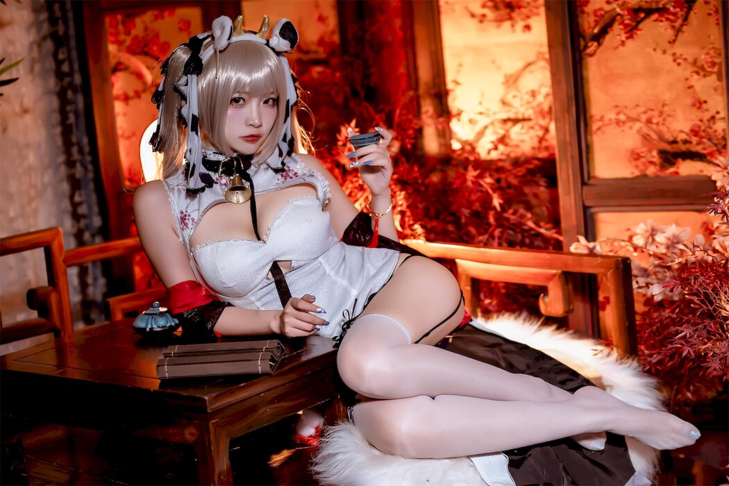 Cosplay 二佐Nisa 碧蓝航线可畏旗袍