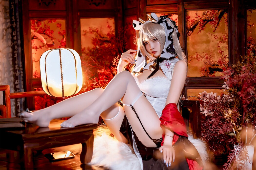 Cosplay 二佐Nisa 碧蓝航线可畏旗袍